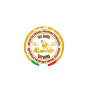 consorzio_italiano-logo