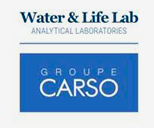 groupe-carso-logo-food-consulting