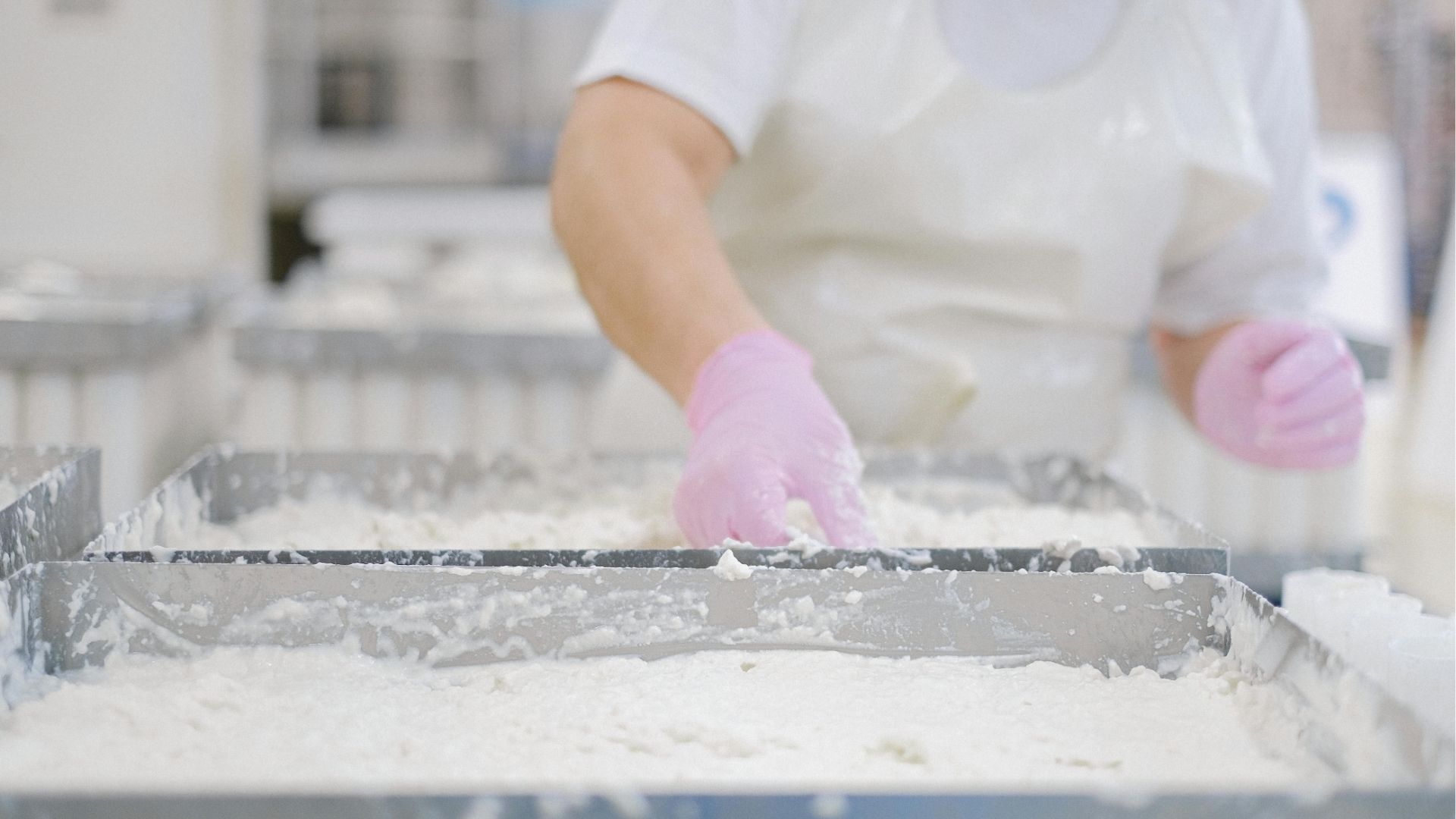 Critical Control Point: cos'è, a cosa serve e perché è centrale nel sistema HACCP
