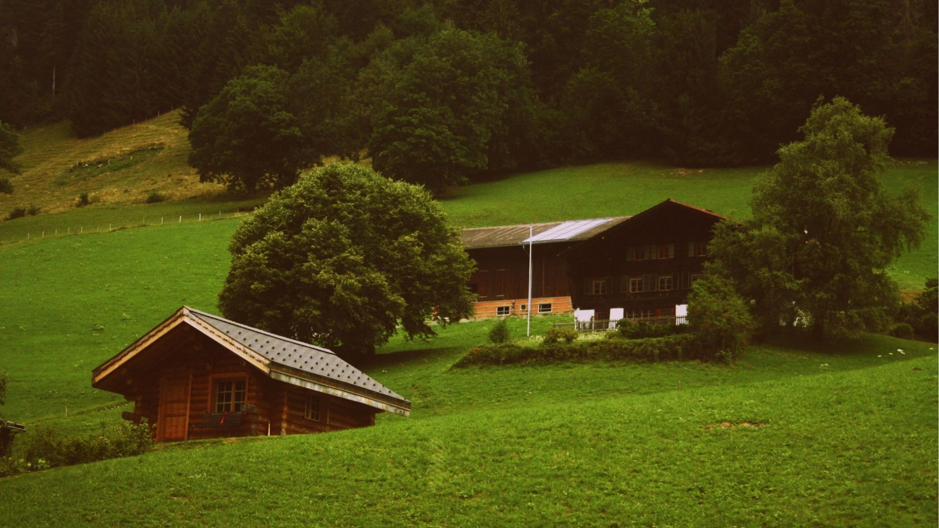 HACCP agriturismo: cosa sapere per essere in regola e garantire la sicurezza alimentare