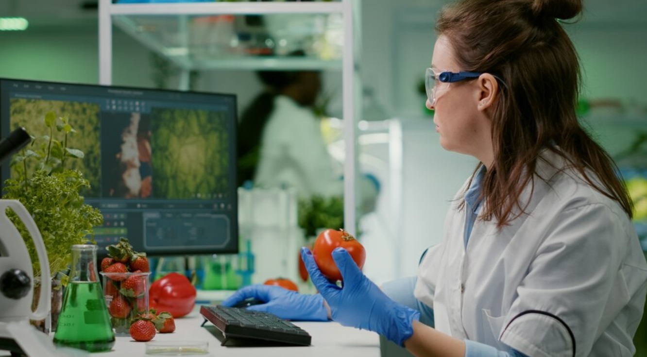 Alimenti HACCP: come garantire sicurezza e qualità nella filiera alimentare