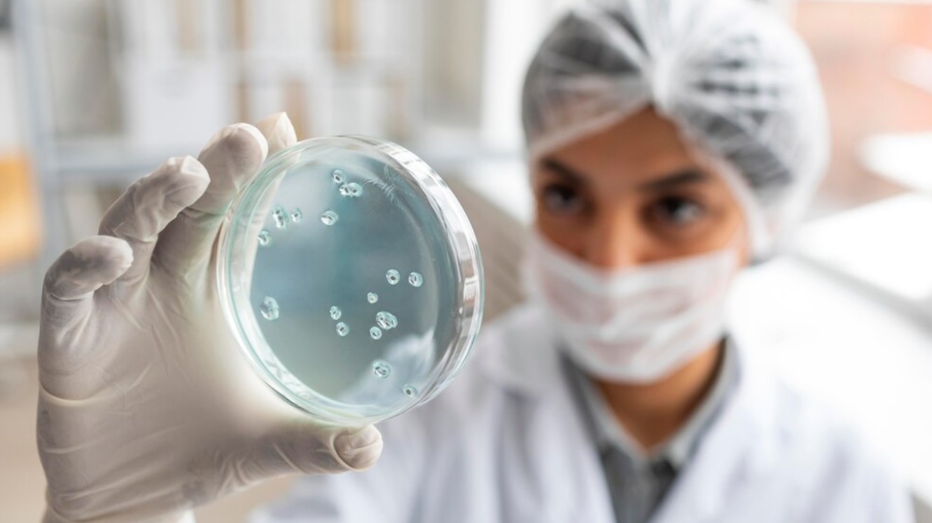 HACCP biologo: una figura strategica per la sicurezza alimentare aziendale