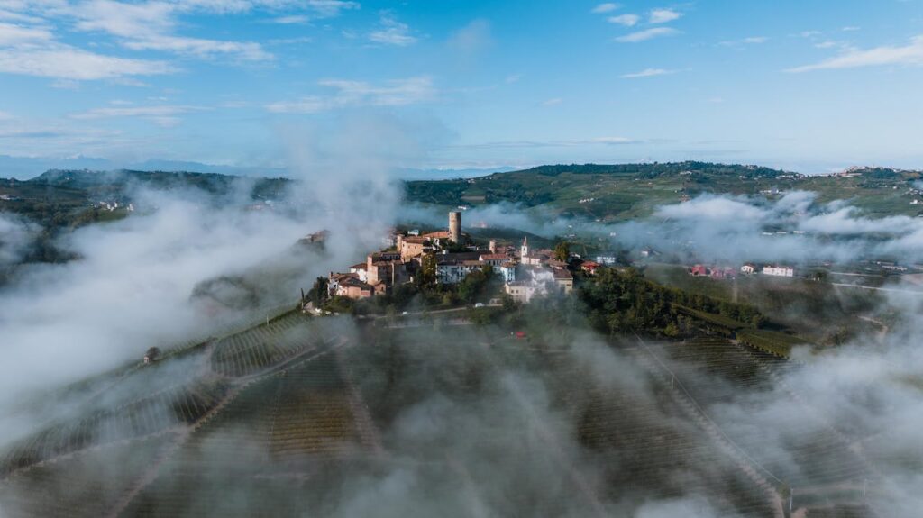 Corso HACCP online in Piemonte descrizione della normativa e formazione