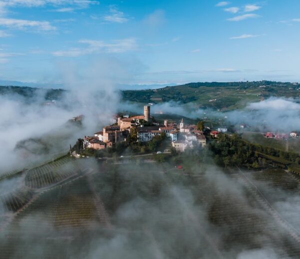 Corso HACCP online in Piemonte descrizione della normativa e formazione