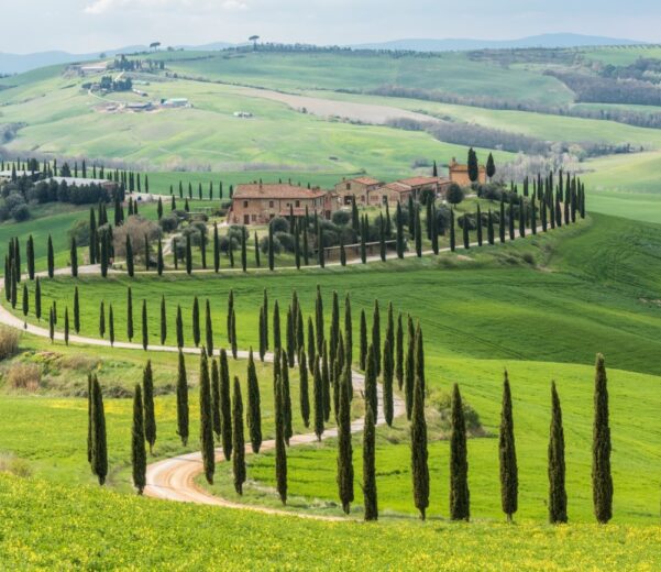 Corso HACCP online Toscana: descrizione dei requisiti e vantaggi