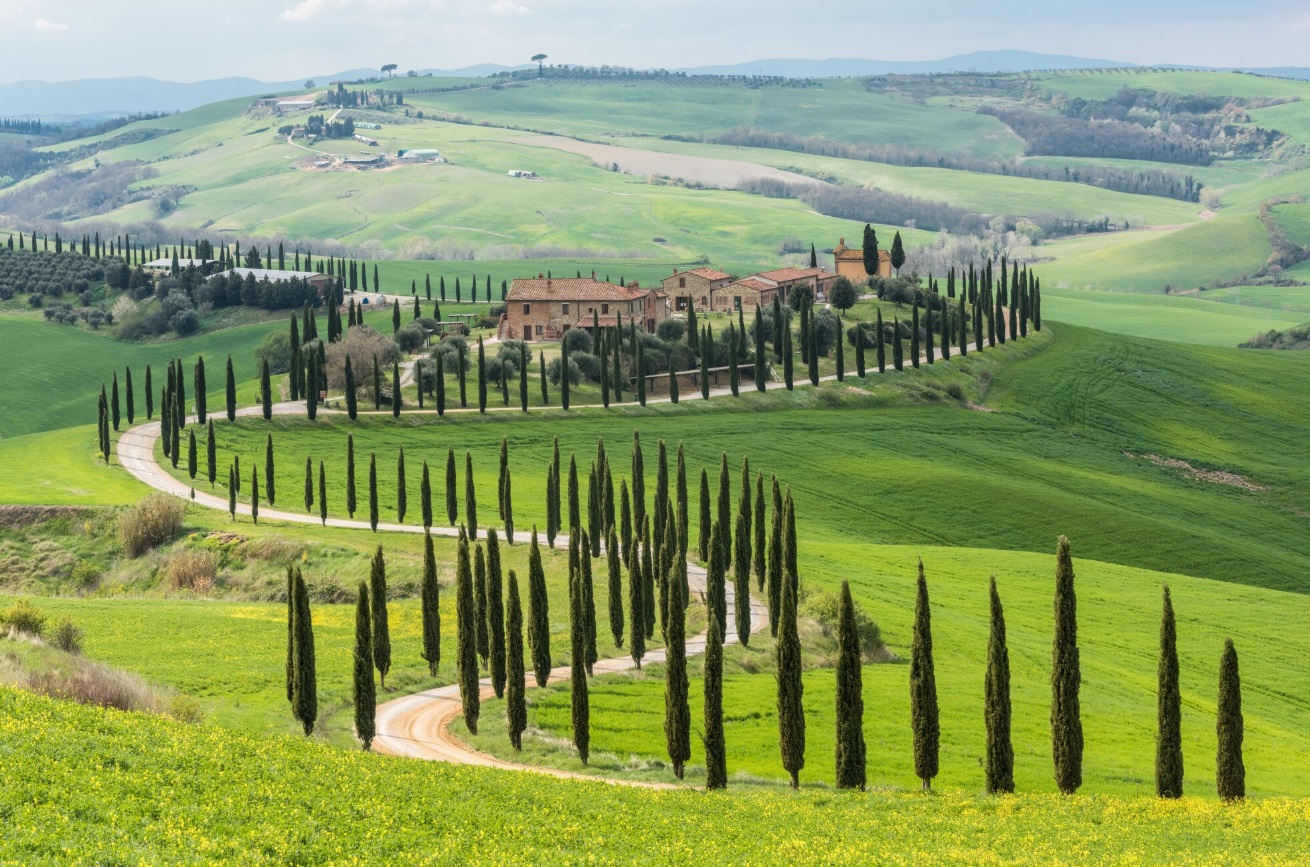 Corso HACCP online Toscana: descrizione dei requisiti e vantaggi