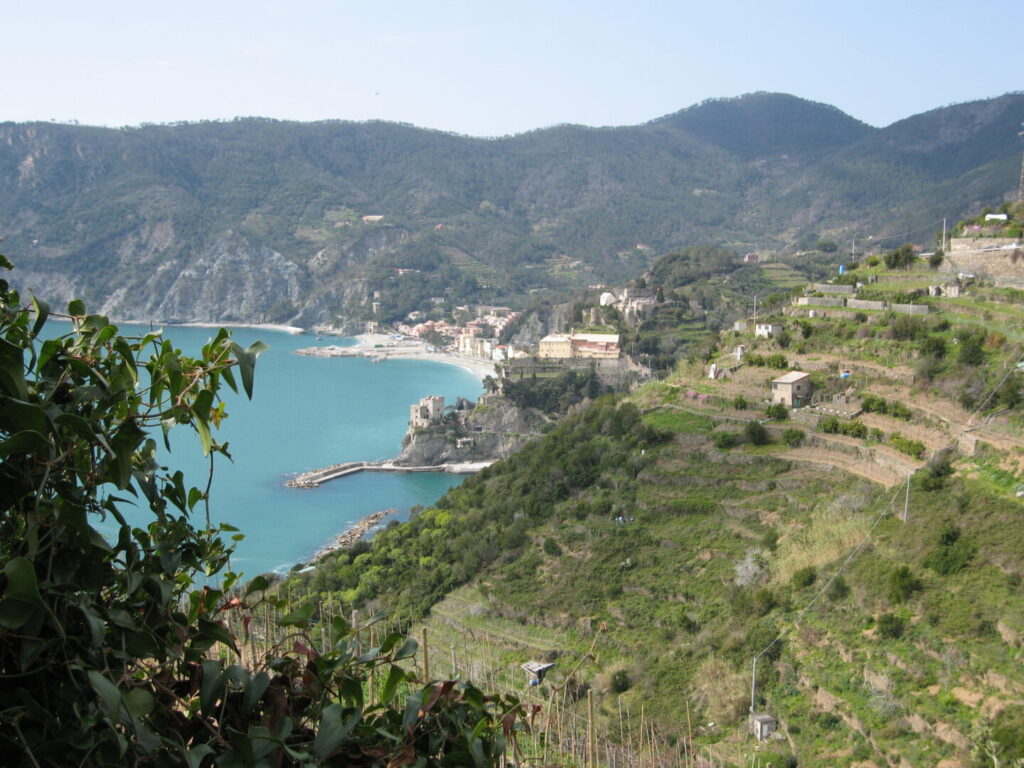 Panorama delle Cinque Terre in Liguria con terrazzamenti e mare - regione del corso HACCP obbligatorio