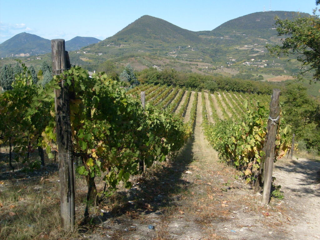 corso haccp veneto online