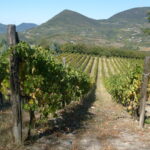 corso haccp veneto online