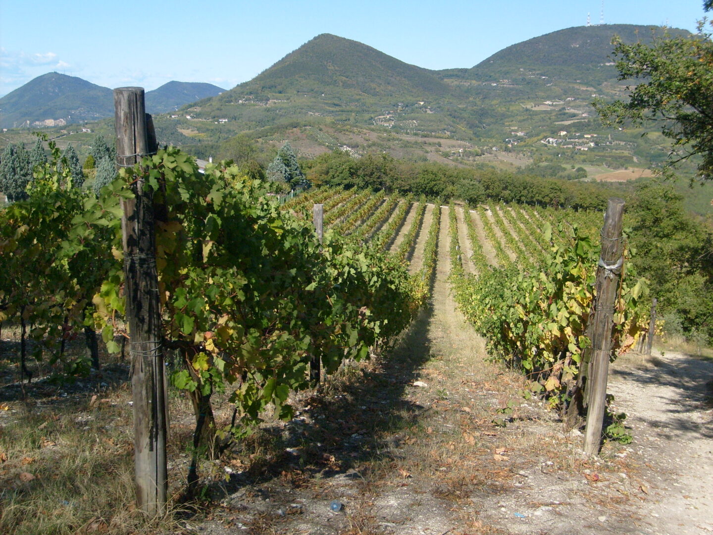 corso haccp veneto online