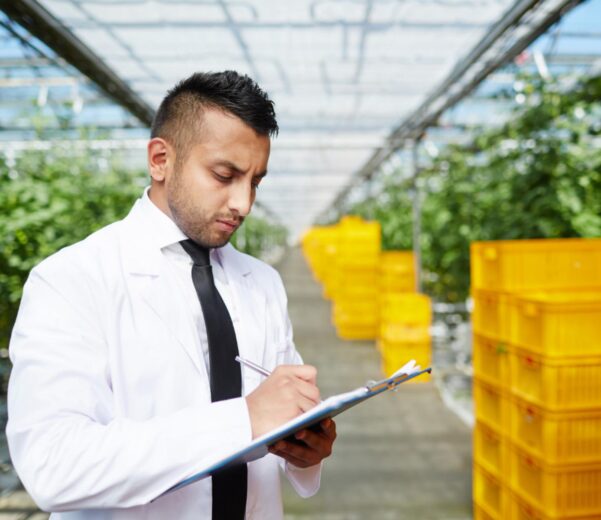 Audit sicurezza alimentare mostra come ogni azienda deve pianificare un audit alimentare efficace