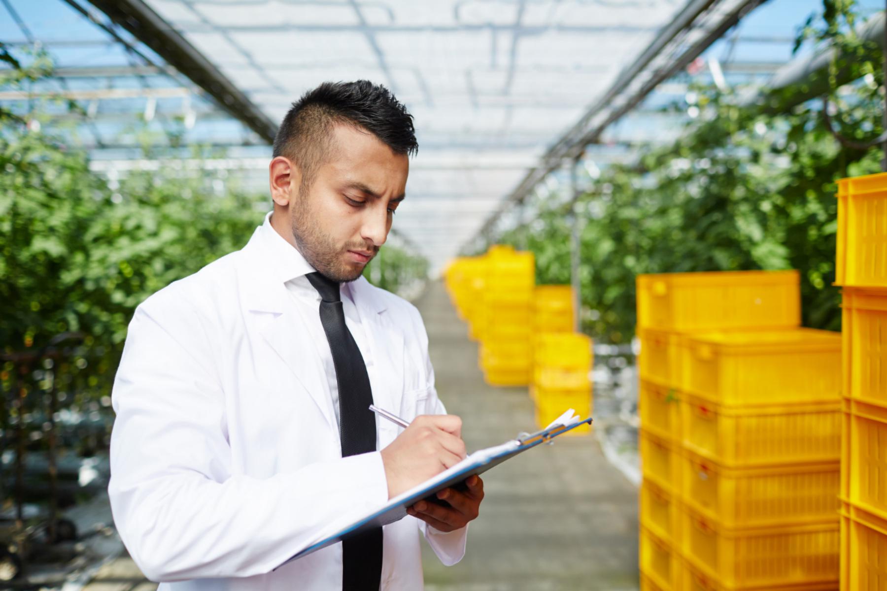 Audit sicurezza alimentare mostra come ogni azienda deve pianificare un audit alimentare efficace