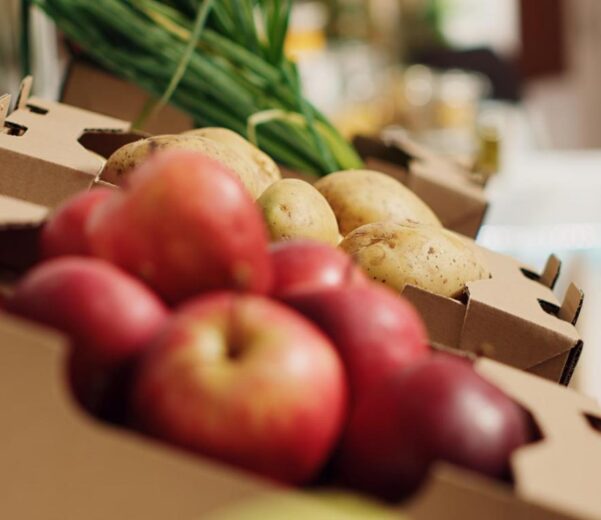 Sicurezza e igiene degli alimenti: come gestirle in azienda