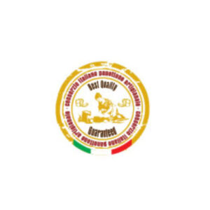 consorzio_italiano-logo.jpg