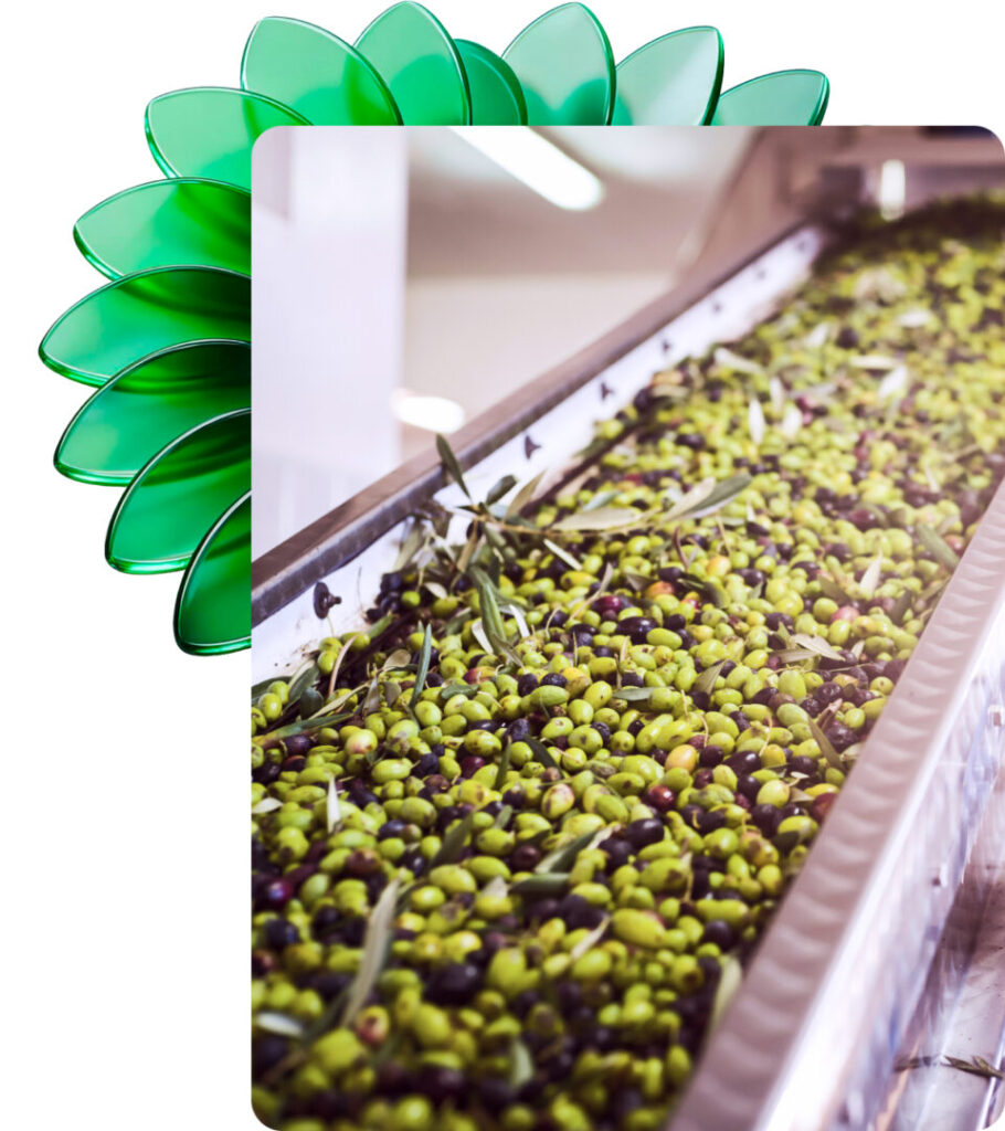 Esperto Food Consulting che fornisce consulenza tecnica di sicurezza alimentare a cliente aziendale