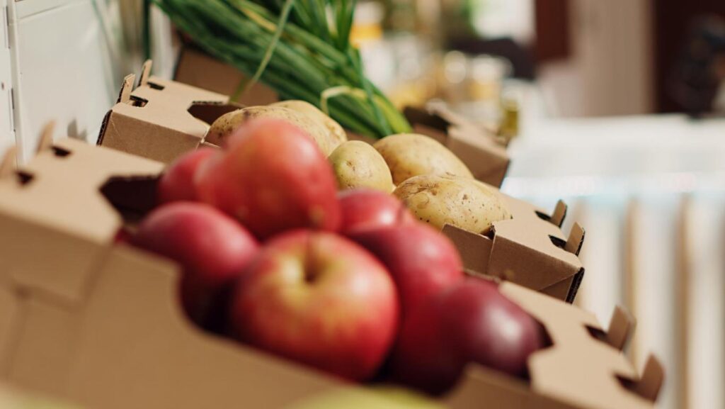 Sicurezza e igiene degli alimenti: come gestirle in azienda