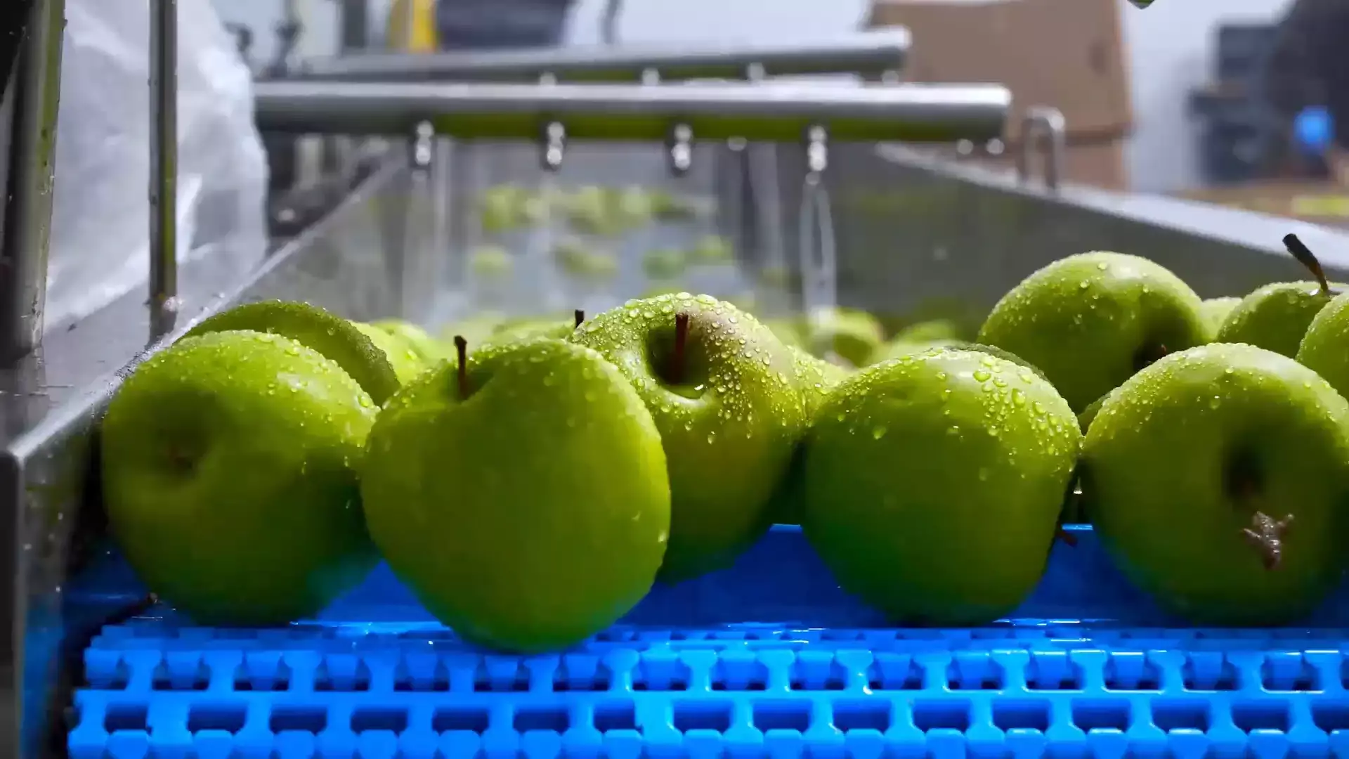 Studio Food Consulting